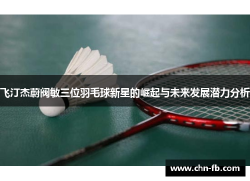 飞汀杰蔚阀敏三位羽毛球新星的崛起与未来发展潜力分析