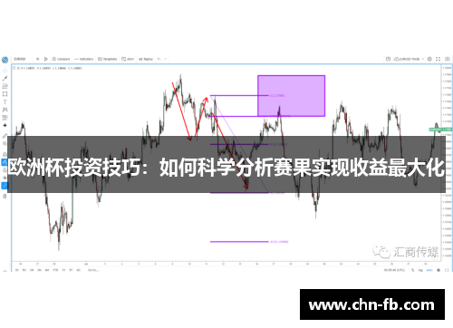 欧洲杯投资技巧：如何科学分析赛果实现收益最大化