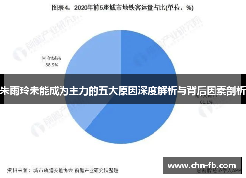 朱雨玲未能成为主力的五大原因深度解析与背后因素剖析