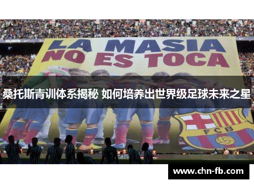 桑托斯青训体系揭秘 如何培养出世界级足球未来之星 桑托斯青训体系揭秘 如何培养出世界级足球未来之星