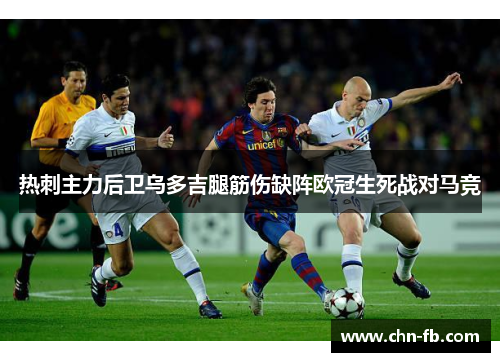 热刺主力后卫乌多吉腿筋伤缺阵欧冠生死战对马竞